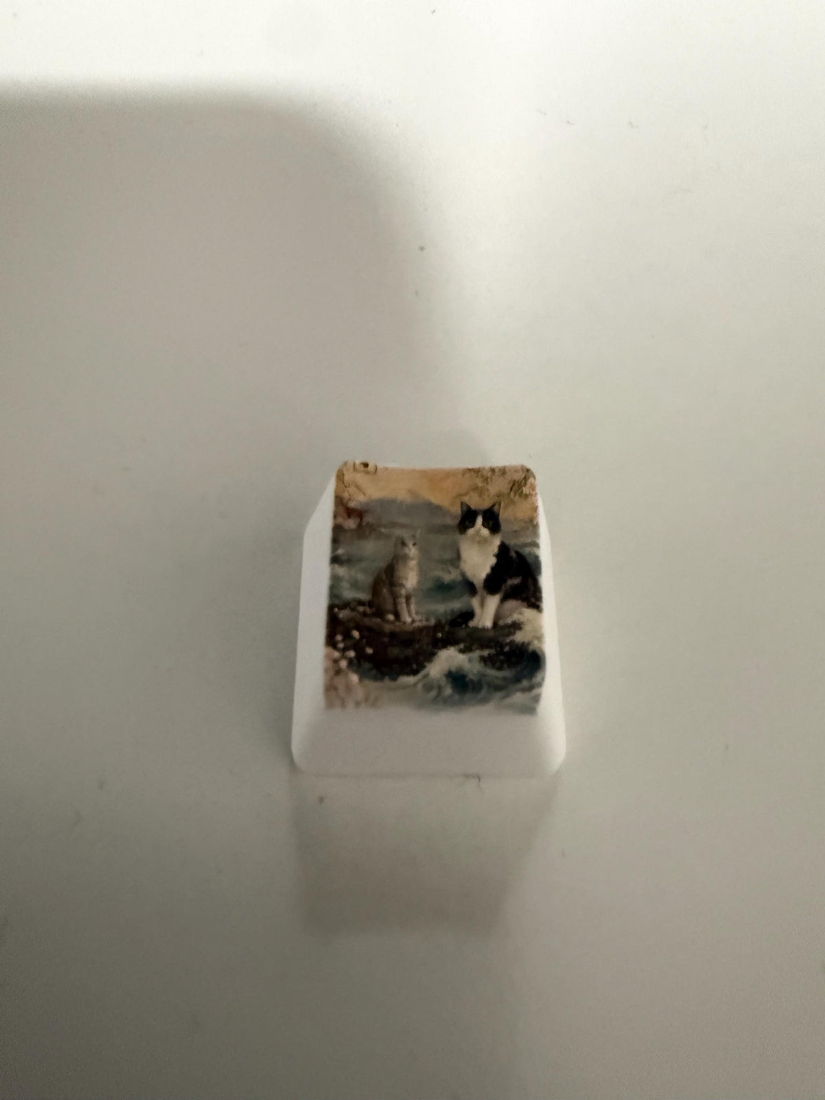Custom Pet Photo ESC Keycap, Cherry MX Compatible, Dog Cat Memorial Keyboard Accessory with the painted two-cats illustration, standing alone centered on a plain light background showing the printed top