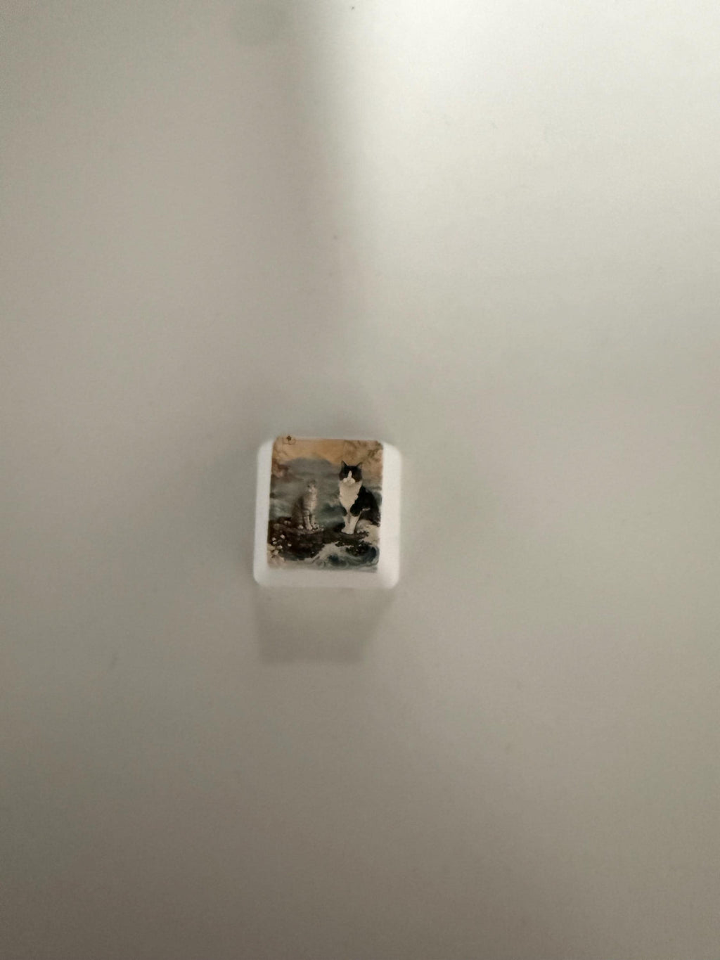 Custom Pet Photo ESC Keycap, Cherry MX Compatible, Dog Cat Memorial Keyboard Accessory with the painted two-cats illustration, lying on a plain light gray surface viewed from above