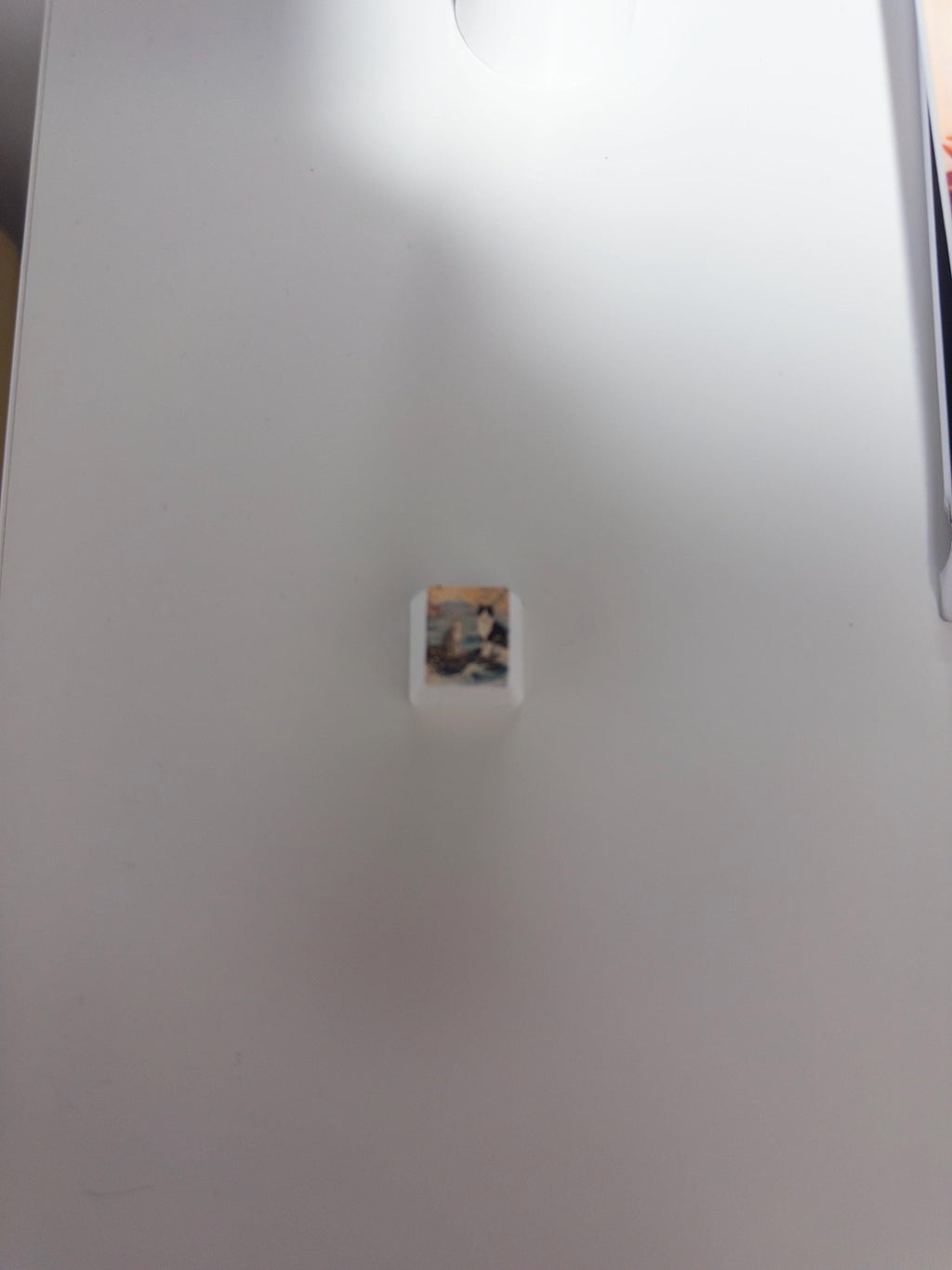 Custom Pet Photo ESC Keycap, Cherry MX Compatible, Dog Cat Memorial Keyboard Accessory with the painted two-cats illustration, attached to a plain white refrigerator door and viewed from a distance