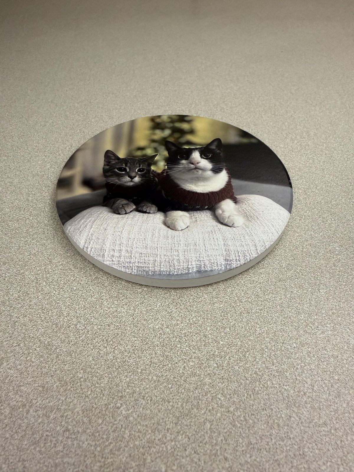 Custom Cat Photo Coaster: UV Printed Ceramic Tile (4x4) – Pet Memorial Keepsake, round coaster variant with the same two-cats photo, shown at an angle on a speckled beige countertop