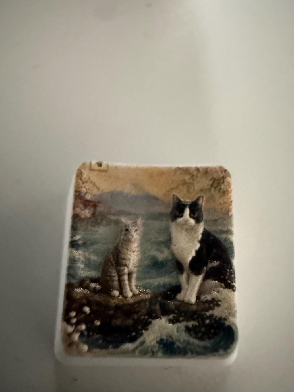 Custom Pet Photo ESC Keycap, Cherry MX Compatible, Dog Cat Memorial Keyboard Accessory with the painted two-cats illustration, top-down view of the printed top on a plain light background
