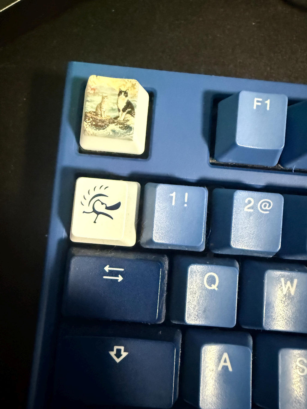 Custom Pet Photo ESC Keycap, Cherry MX Compatible, Dog Cat Memorial Keyboard Accessory with the painted two-cats illustration, installed in the ESC slot of a blue mechanical keyboard next to a bird-symbol keycap