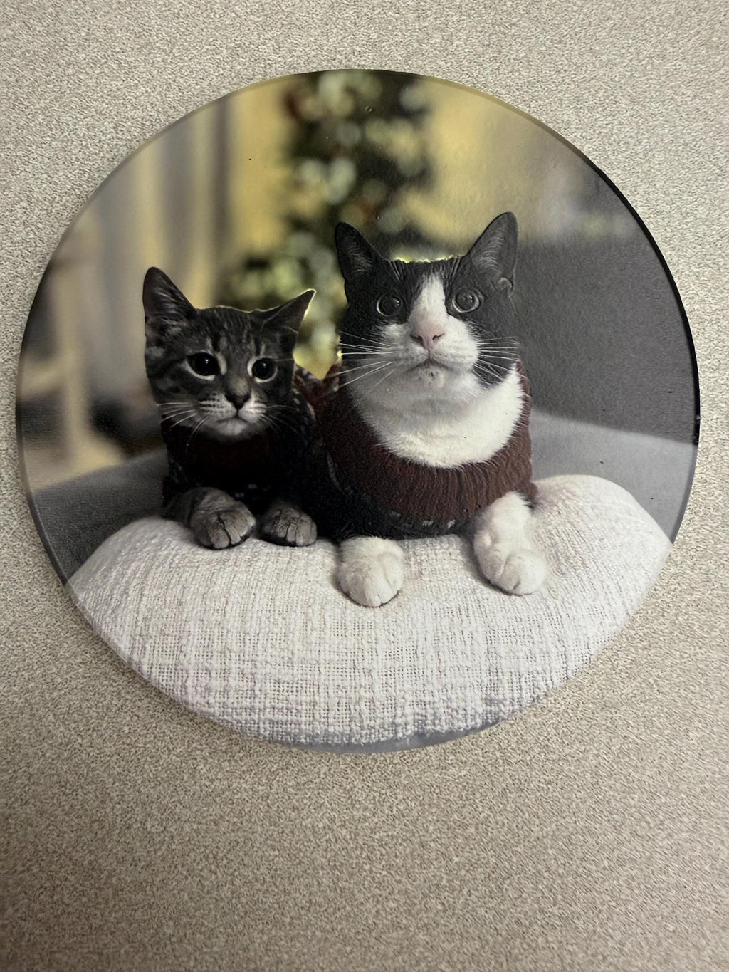 Custom Cat Photo Coaster: UV Printed Ceramic Tile (4x4) – Pet Memorial Keepsake, close-up of the round coaster with the two-cats photo, a gray tabby kitten and a black and white cat in a sweater sitting on a cushion, on a textured beige surface