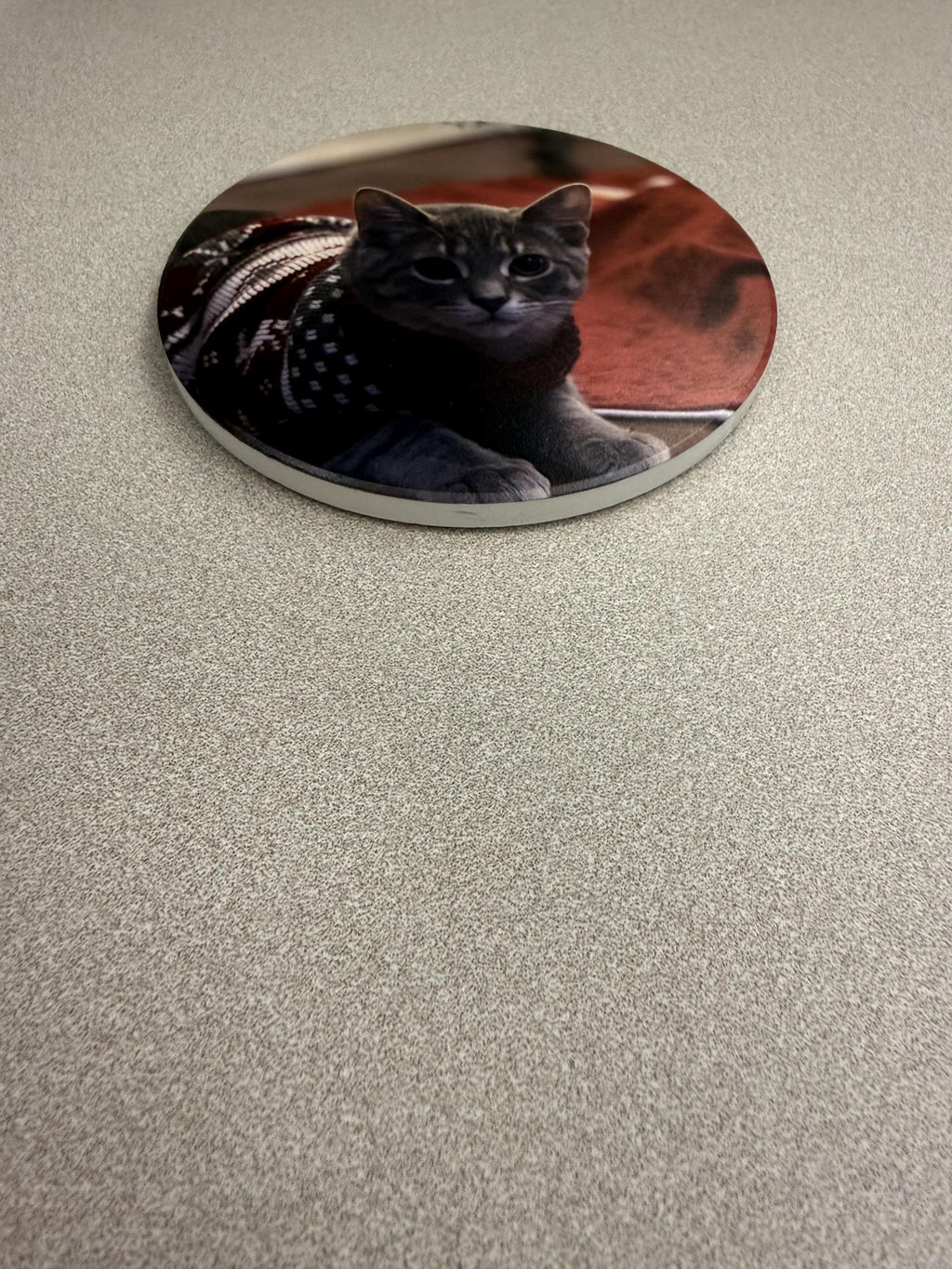 Custom Cat Photo Coaster: UV Printed Ceramic Tile (4x4) – Pet Memorial Keepsake, round coaster with a printed photo of a gray tabby cat wearing a patterned sweater, lying on a textured gray surface