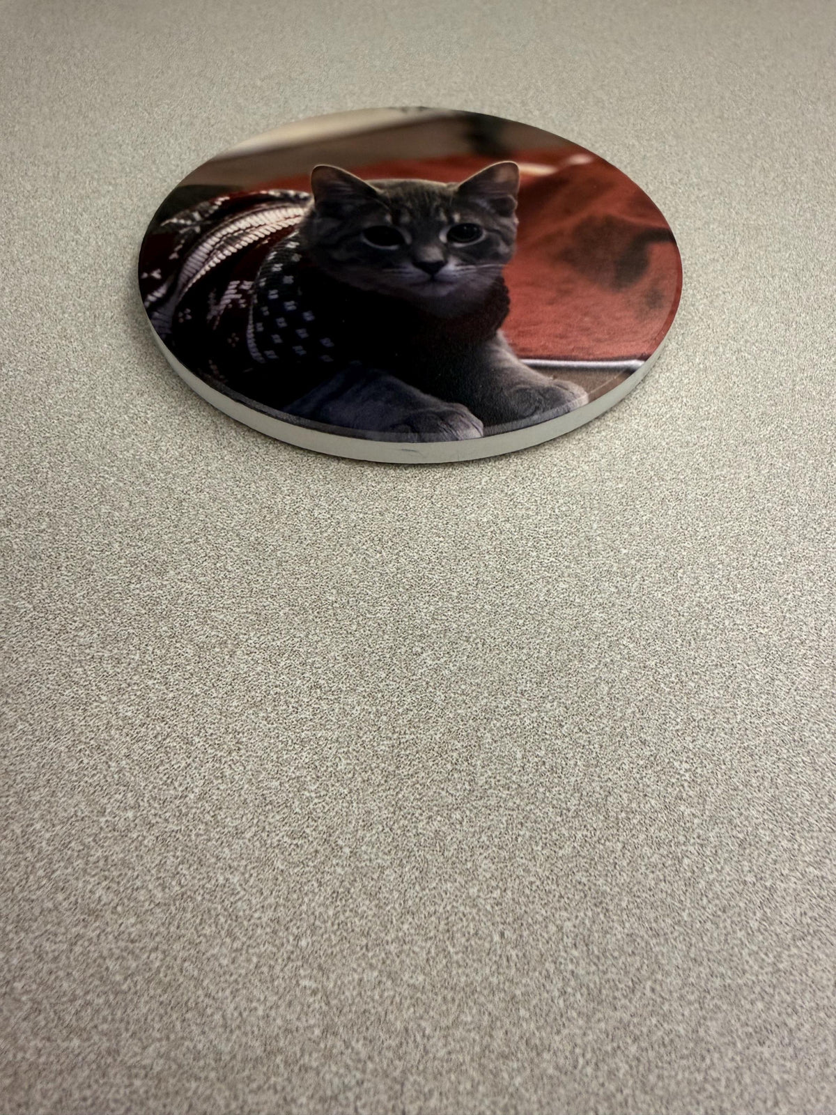 Custom Cat Photo Coaster: UV Printed Ceramic Tile (4x4) – Pet Memorial Keepsake, round coaster with a printed photo of a gray tabby cat wearing a patterned sweater, lying on a textured gray surface