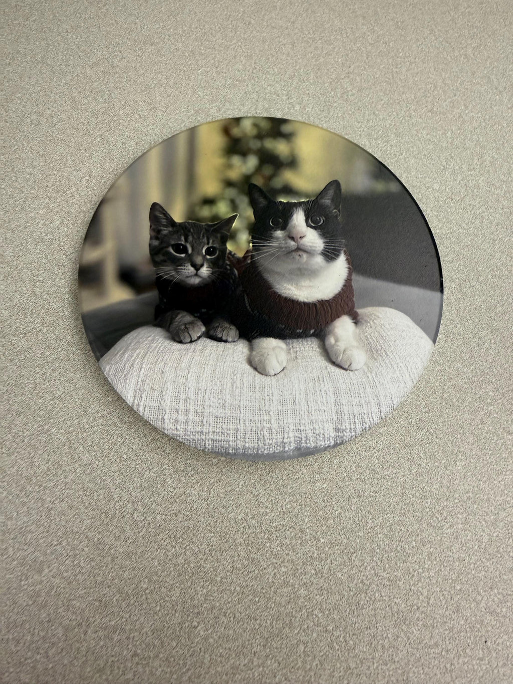 Custom Cat Photo Coaster: UV Printed Ceramic Tile (4x4) – Pet Memorial Keepsake, round coaster variant showing a photo of two cats, a gray tabby and a tuxedo cat in a sweater, sitting on a white cushion, flat lay on a beige surface