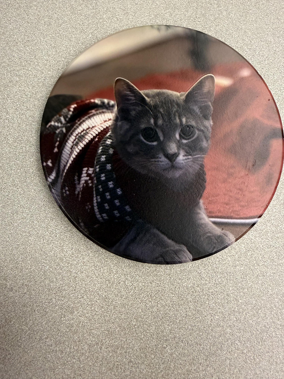 Custom Cat Photo Coaster: UV Printed Ceramic Tile (4x4) – Pet Memorial Keepsake, close-up of the round coaster showing a gray tabby kitten wearing a red and white patterned sweater, on a textured gray surface
