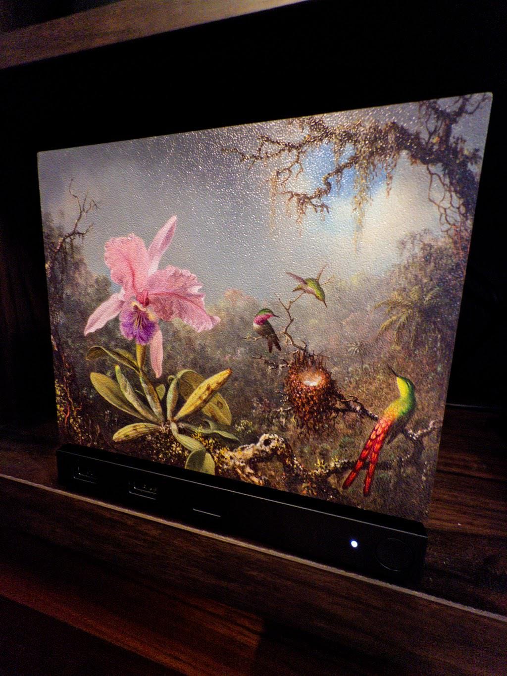 Steam Machine Faceplate, Hummingbird Orchid Botanical Art Decor, Vintage Gamer Accessory, tilted angle view of the plate showing the pink orchid and hummingbird artwork installed on the console on a dark wooden shelf