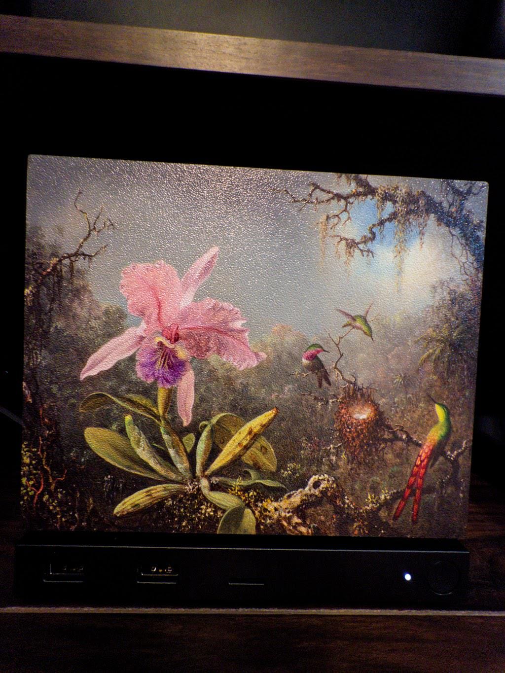 Steam Machine Faceplate, Hummingbird Orchid Botanical Art Decor, Vintage Gamer Accessory, close-up straight-on view of the pink orchid and hummingbird artwork installed on the console on a dark wooden shelf